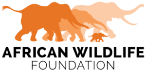 African Wildlife Foundation logo