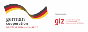 GIZ logo