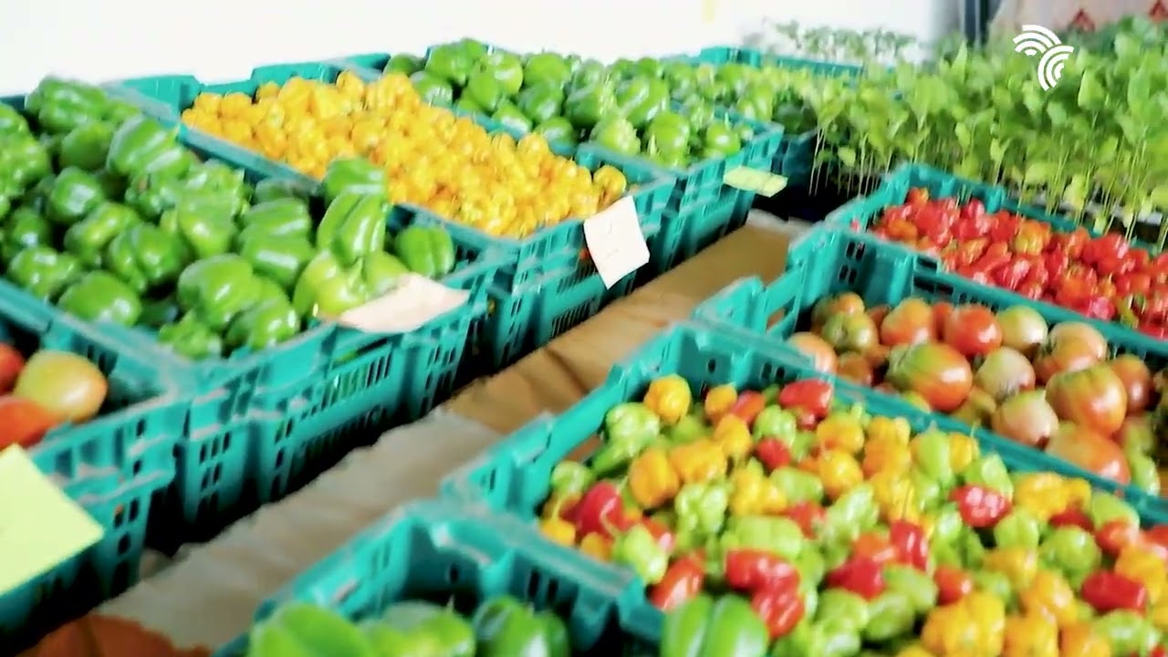 Government of Senegal production still by Pace Production